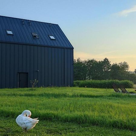 Apartamenty Boczna 3B Z Sauna I Balia Kudowa-Zdroj Dış mekan fotoğraf